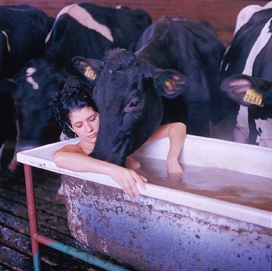 Janine Antoni - Artista e performer contemporanea Janine Antoni - Artista e performer contemporanea
