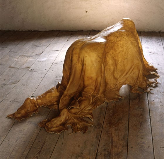 Janine Antoni - Artista e performer contemporanea Janine Antoni - Artista e performer contemporanea