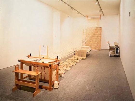 Janine Antoni - Artista e performer contemporanea Janine Antoni - Artista e performer contemporanea