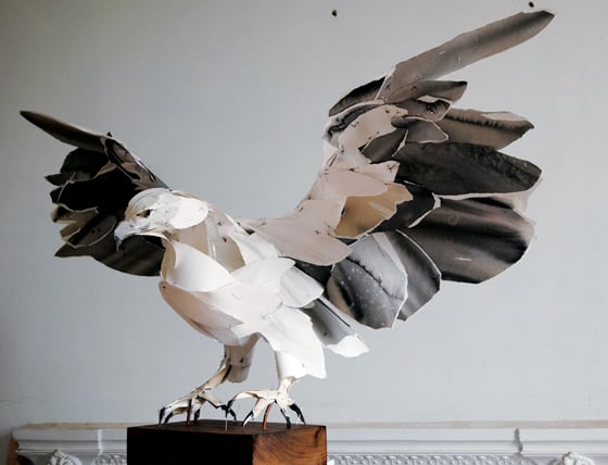 Anna-Wili Highfield - Paper Sculpture - Animali di carta e filo di rame