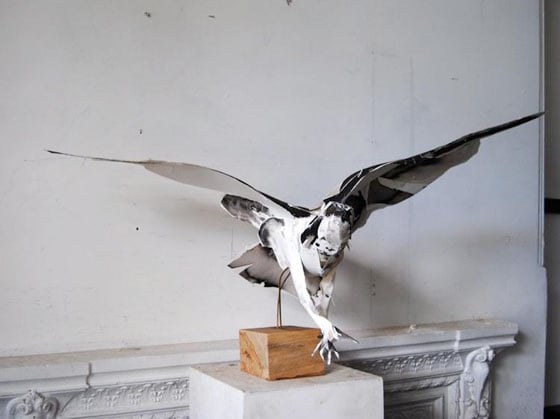 Anna-Wili Highfield - Paper Sculpture - Animali di carta e filo di rame