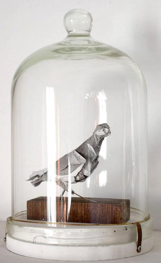Anna-Wili Highfield - Paper Sculpture - Animali di carta e filo di rame