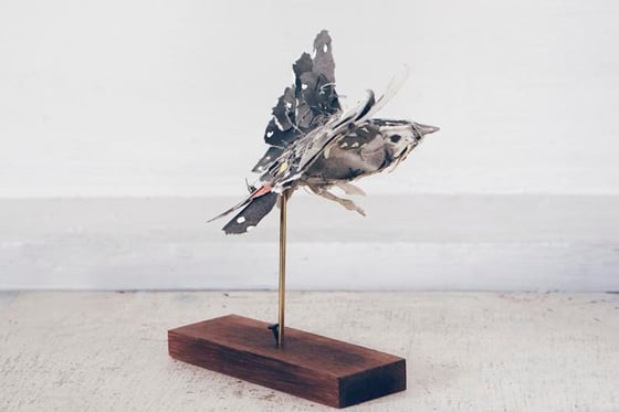 Anna-Wili Highfield - Paper Sculpture - Animali di carta e filo di rame