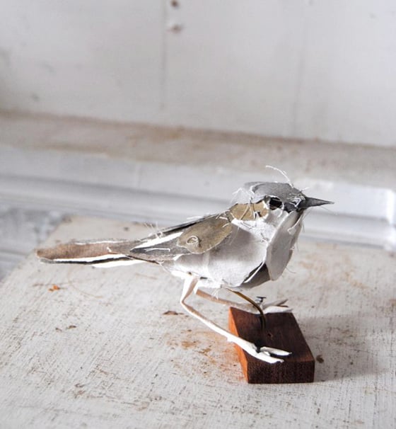 Anna-Wili Highfield - Paper Sculpture - Animali di carta e filo di rame