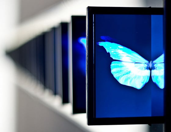 Kinetica Art Fair 2012 - Mostra d'arte cinetica e cibernetica