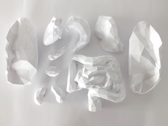 Horst Kiechle - Paper Torso - Busto realizzato con la carta Horst Kiechle - Paper Torso - Busto realizzato con la carta