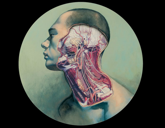 Fernando Vincente - illustratore spagnolo