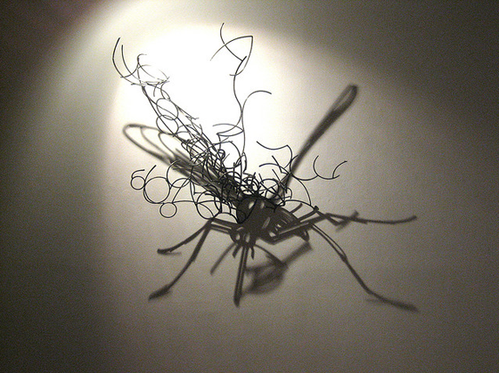 Larry Kagan - Shadow art