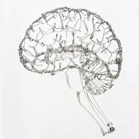 Federico Carbajal - Anatomical Architectures