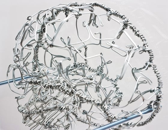 Federico Carbajal - Anatomical Architectures