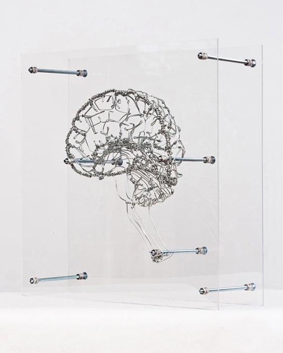 Federico Carbajal - Anatomical Architectures