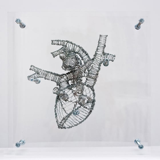 Federico Carbajal - Anatomical Architectures