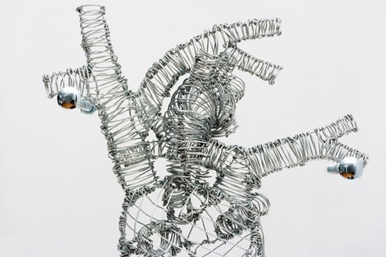 Federico Carbajal - Anatomical Architectures