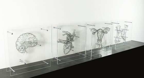 Federico Carbajal - Anatomical Architectures