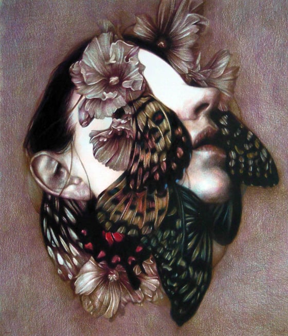 Marco Mazzoni - Illustrazioni a matite colorate su carta