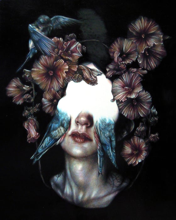 Marco Mazzoni - Illustrazioni a matite colorate su carta