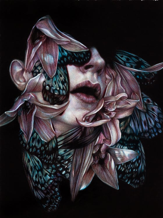 Marco Mazzoni - Illustrazioni a matite colorate su carta