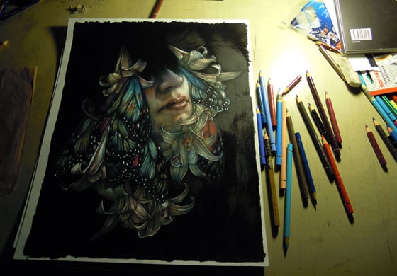 Marco Mazzoni - Illustrazioni a matite colorate su carta