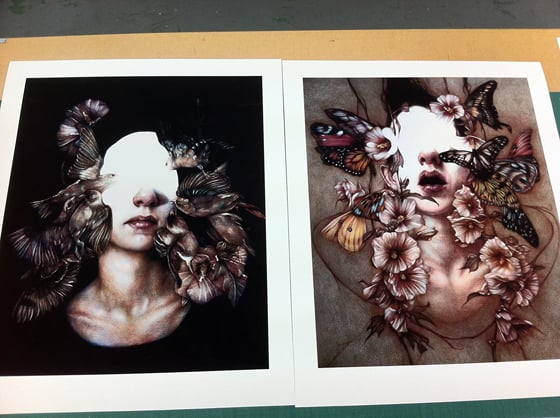 Marco Mazzoni - Illustrazioni a matite colorate su carta
