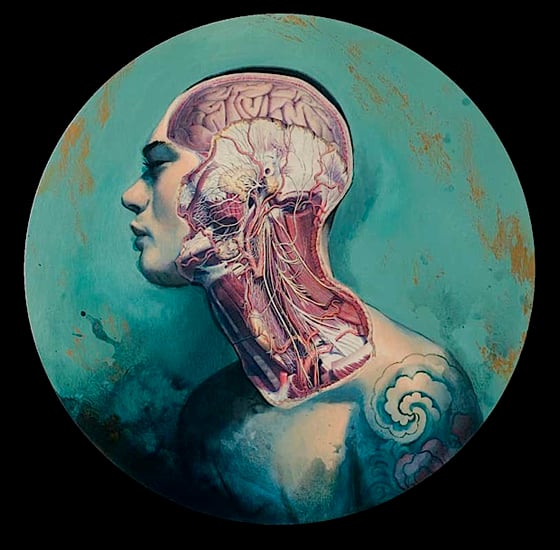 Fernando Vincente - illustratore spagnolo