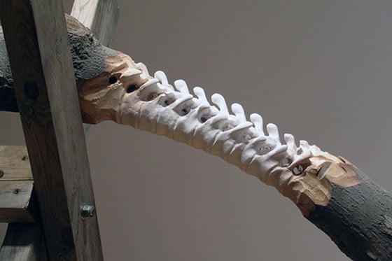 Maskull Lasserre - Anatomical Sculptures