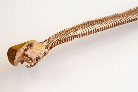 Maskull Lasserre - Anatomical Sculptures