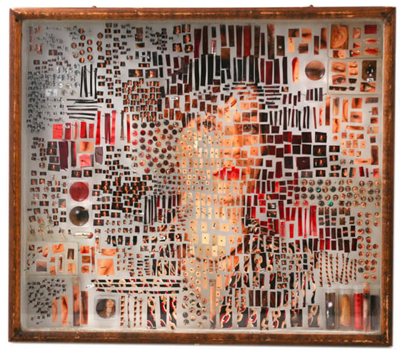 Michael Mapes - Photographic Specimens - Ritratti in provetta