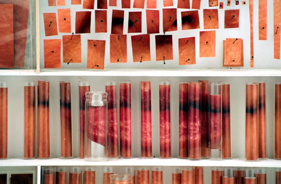 Michael Mapes - Photographic Specimens - Ritratti in provetta