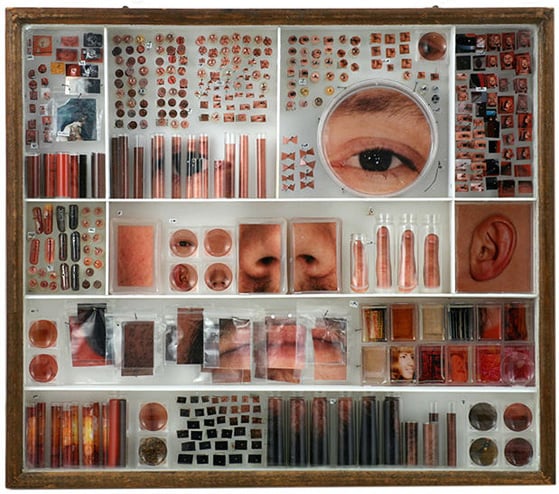 Michael Mapes - Photographic Specimens - Ritratti in provetta