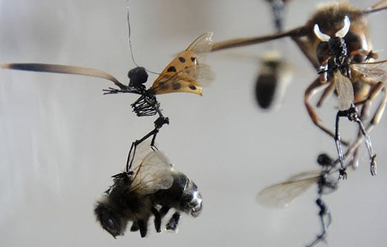 Tessa Farmer - Insect Art Tessa Farmer - Insect Art