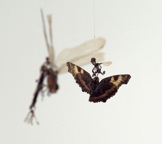Tessa Farmer - Insect Art Tessa Farmer - Insect Art