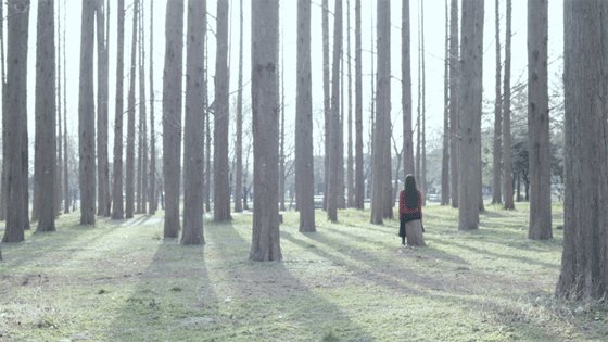 RRRRRRRROLL-Experimental-Animated-GIF RRRRRRRROLL-Experimental-Animated-GIF