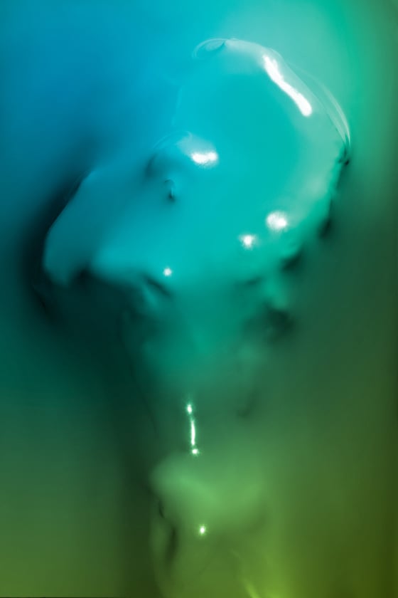 Julien Palast - SkinDeep - Corpi intrappolati nella plastica Julien Palast - SkinDeep - Corpi intrappolati nella plastica