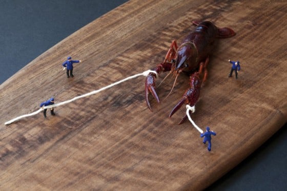 Christopher Boffoli - Big Appetites - Persone in miniatura in un mondo di cibi giganti