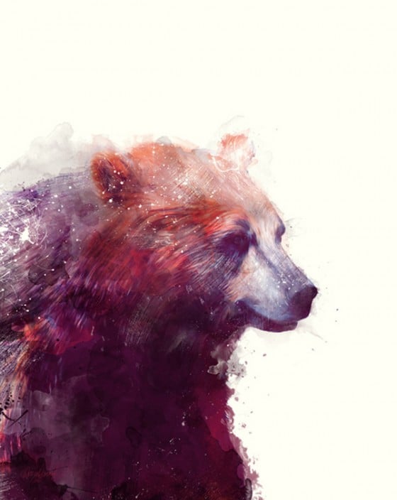 Amy Hamilton - Illustratrice e graphic designe canadese Amy Hamilton - Illustratrice e graphic designe canadese