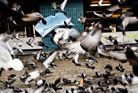 Anders Gjennestad - Strøk - Stencil artist norvegese
