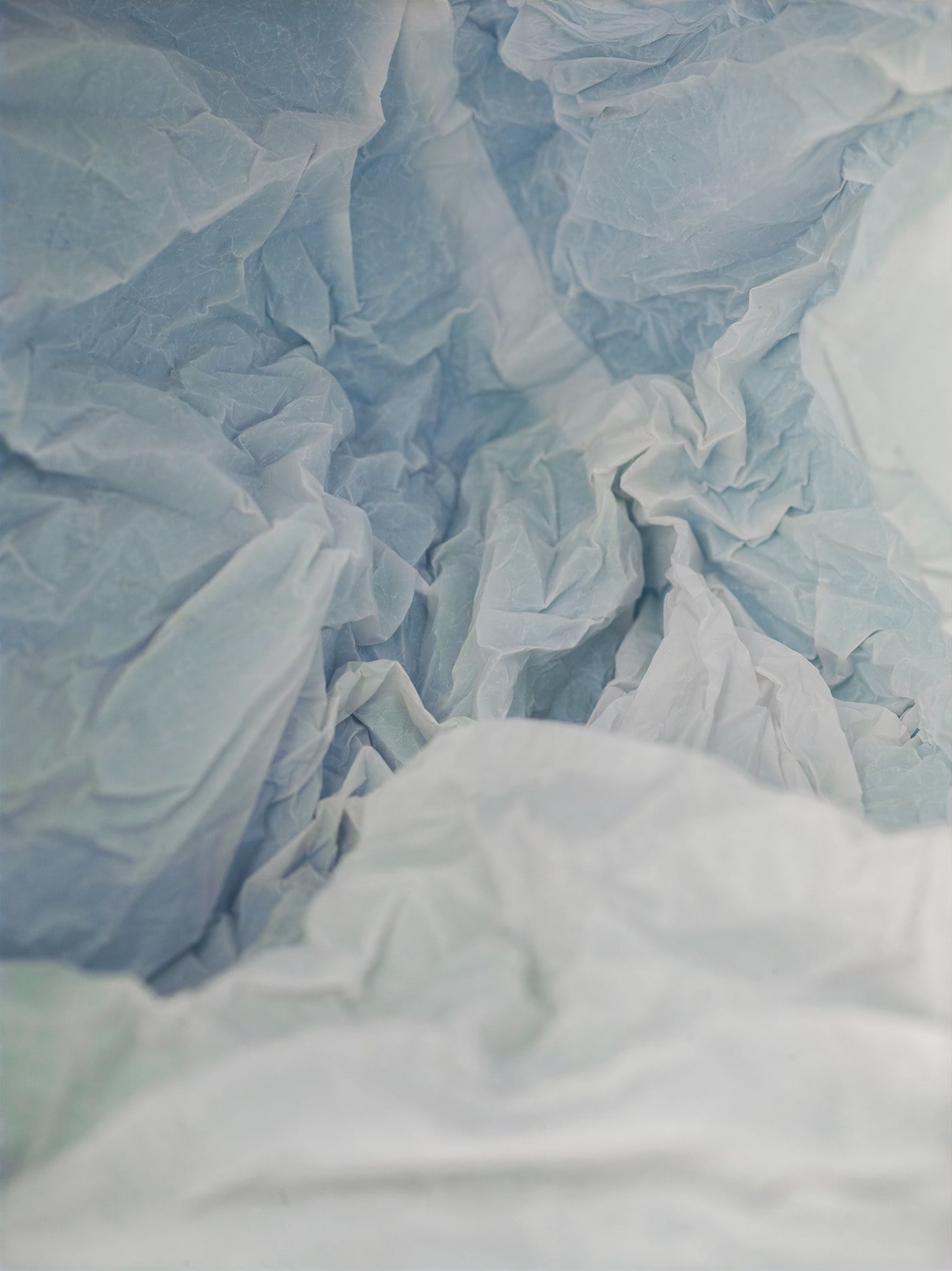 Plastic Bag Landscapes - Le buste di plastica di Vilde Rolfsen | Collater.al