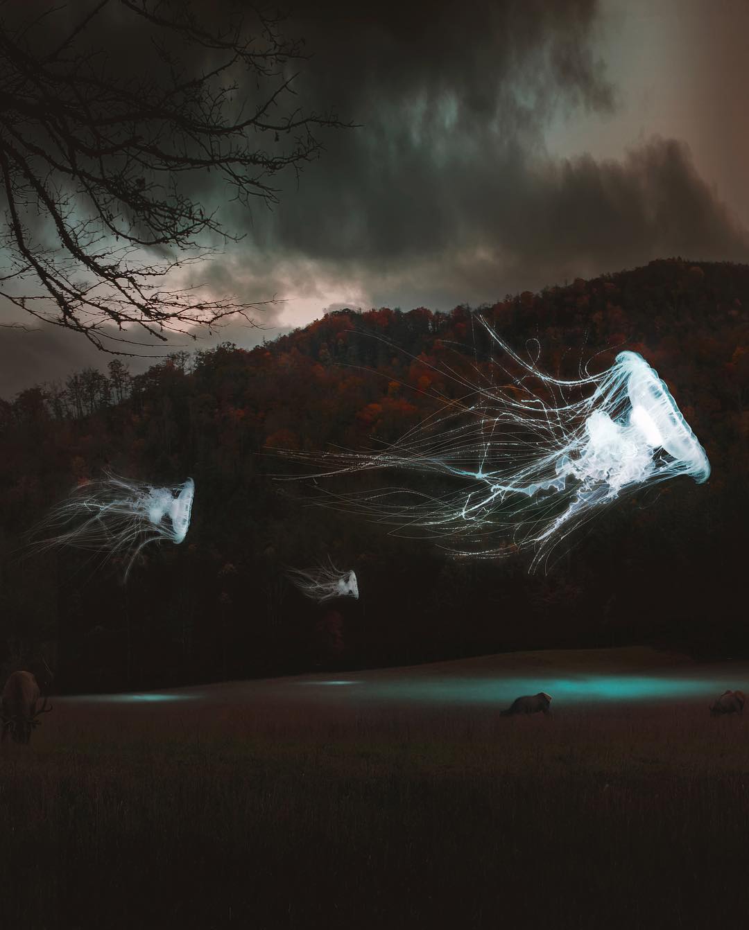 Le photo manipulations di Hüseyin Sahin | Collater.al