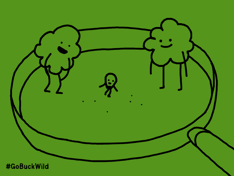 Le GIF di Tom Deslongchamp per #snackBuckWild | Collater.al