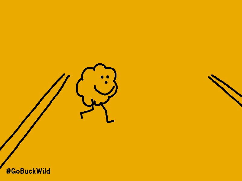 Le GIF di Tom Deslongchamp per #snackBuckWild | Collater.al