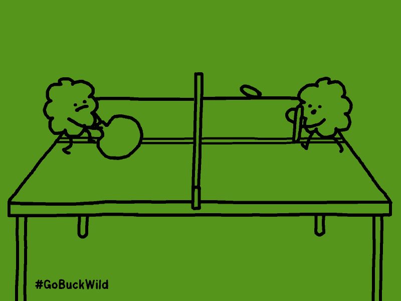 Le GIF di Tom Deslongchamp per #snackBuckWild | Collater.al