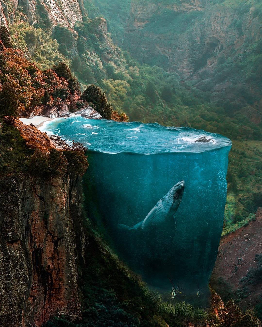 Le photo manipulations di Hüseyin Sahin | Collater.al