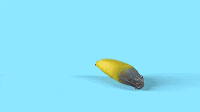 Banana Project, le banane umane in gif di Elias Freiberger e Xander Marritt | Collater.al 3