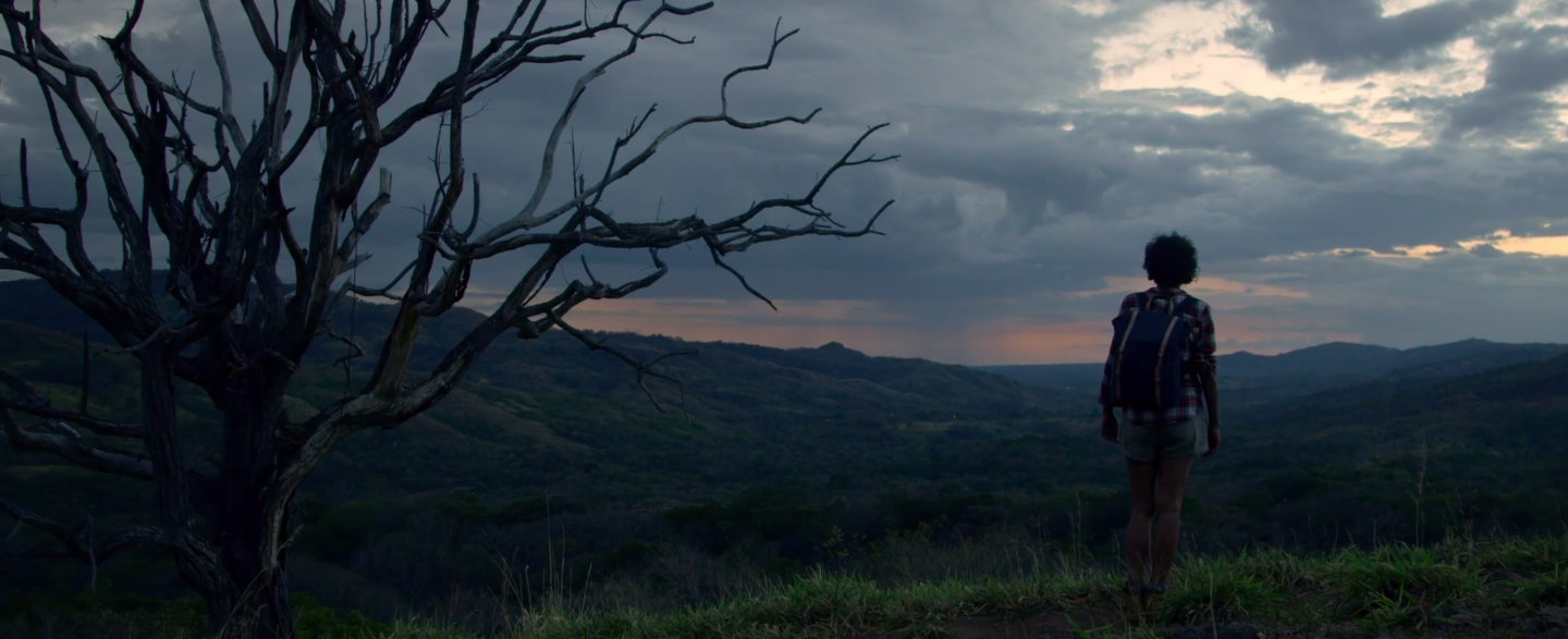 Short video for Breakfast – 3 settimane in viaggio per Panama | Collater.al 3