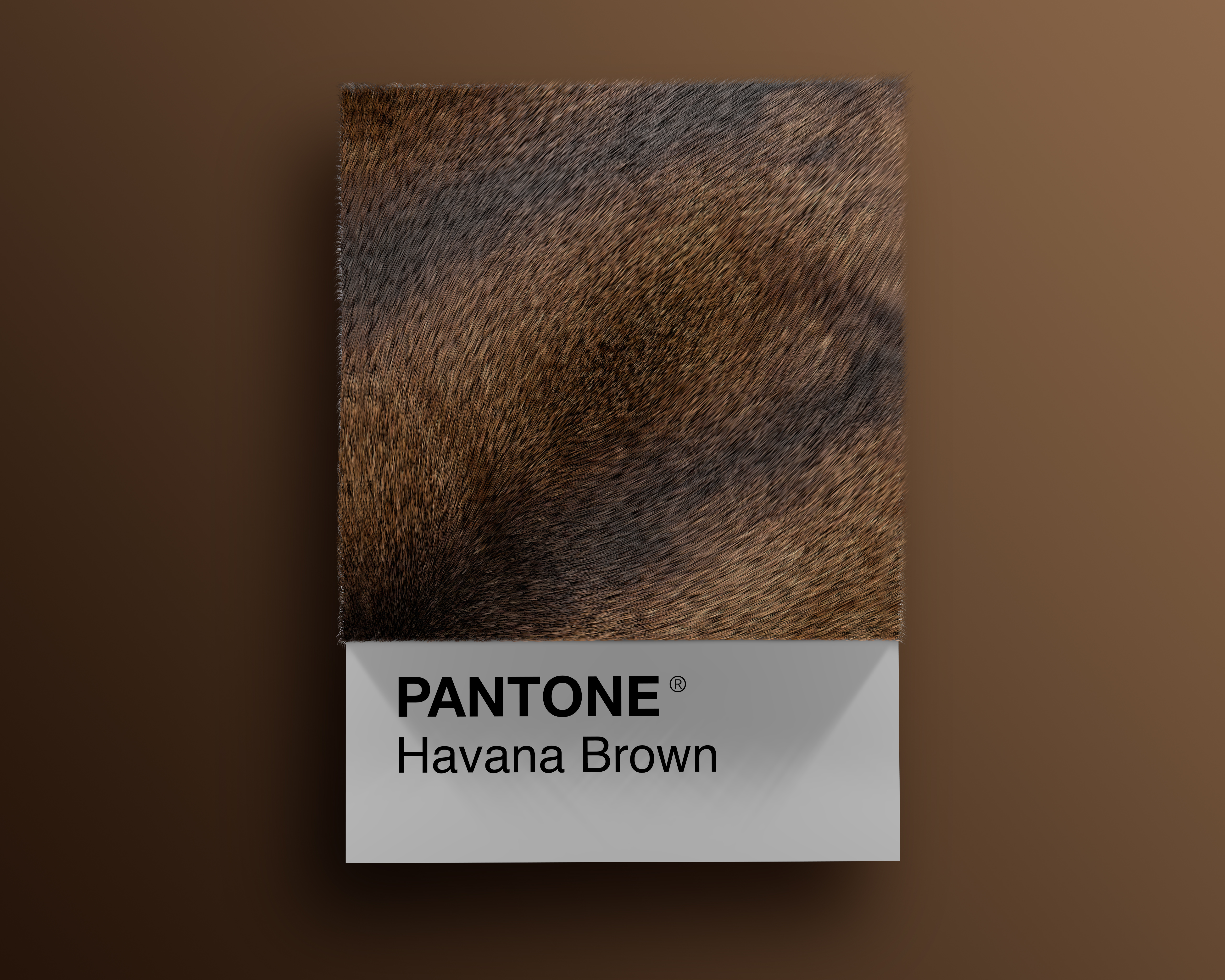 Alessio D'Amico - Cat breeds as Pantone | Collater.al 8
