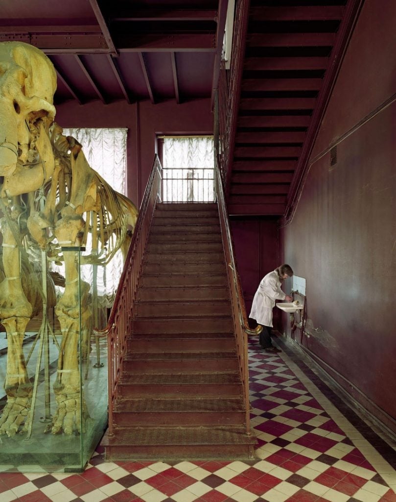 Time in Between, le surreali fiabe russe di Frank Herfort | Collater.al 3