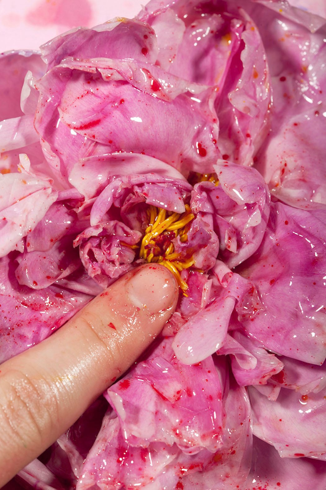 Le fotografie di Maisie Cousins che giocano con disgusto ed attrazione | Collater.al 12