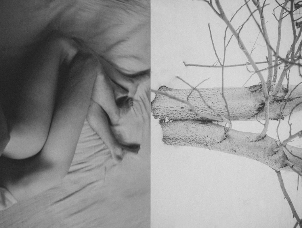 Human vs Nature, il lavoro di Agnieszka Lepka che mette in relazione uomini e natura | Collater.al 10