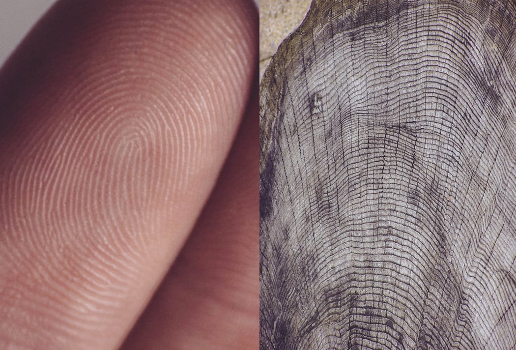Human vs Nature, il lavoro di Agnieszka Lepka che mette in relazione uomini e natura | Collater.al 3