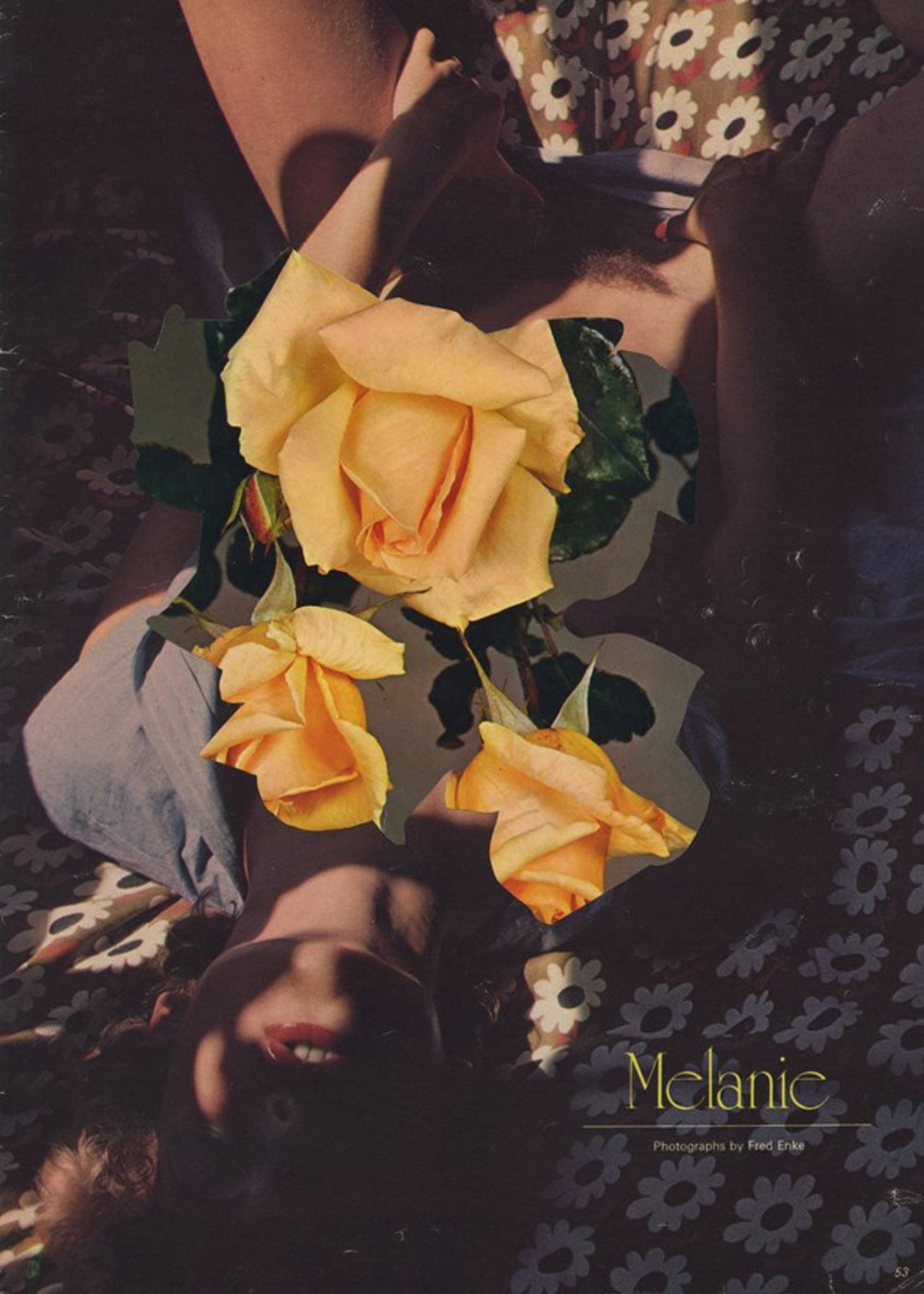 I celebri collage sulla figura femminile di Linder Sterling | Collater.al 13